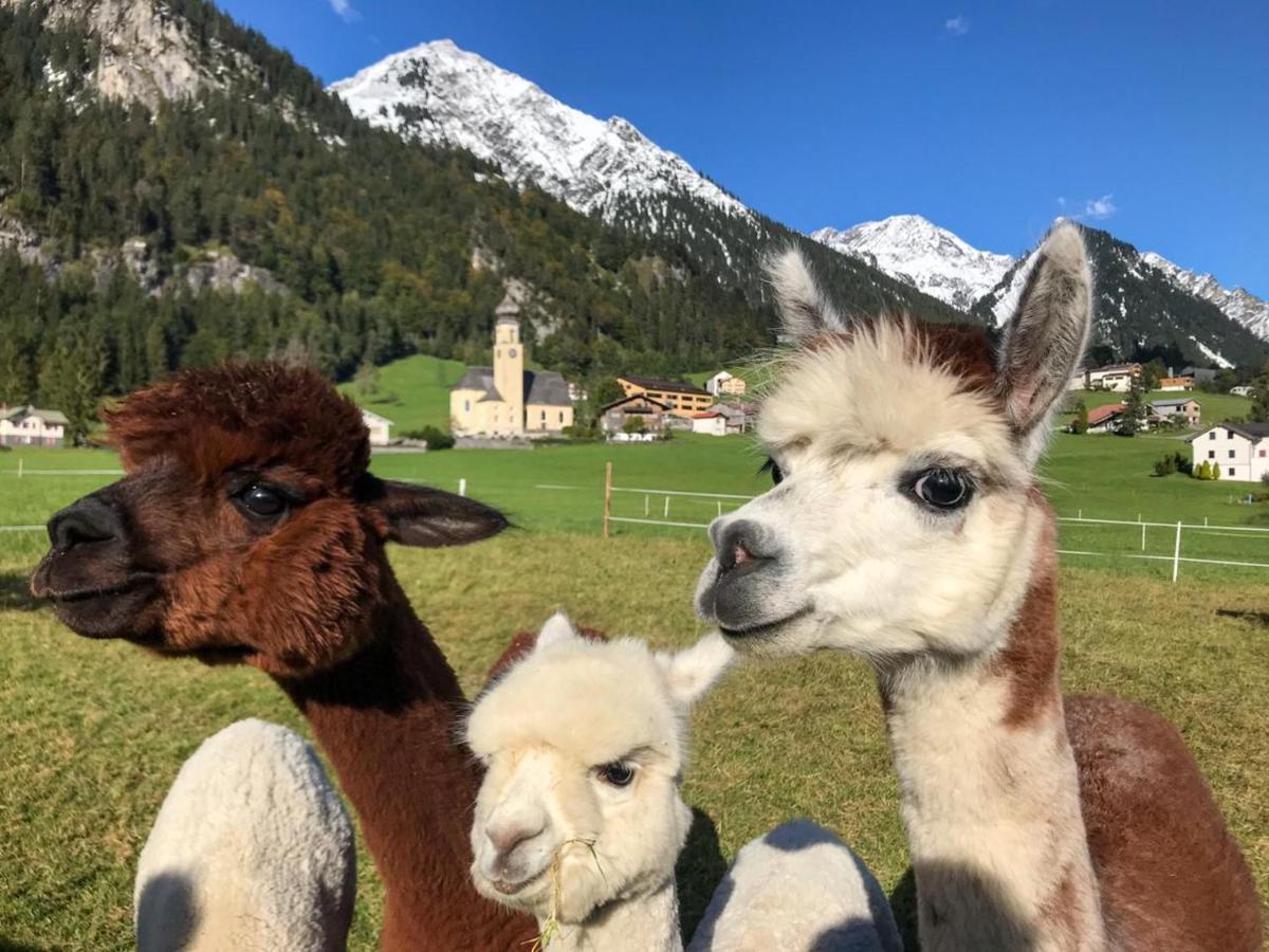 Gaestehaus Zum Baeren Appartamento *