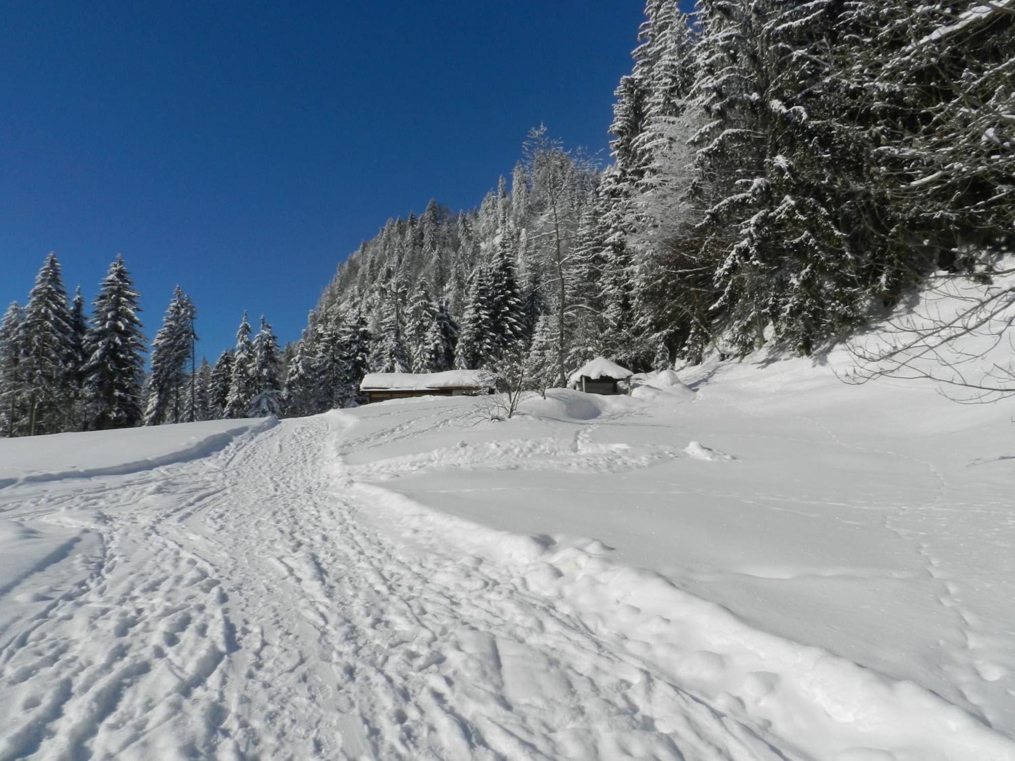 Gaestehaus Zum Baeren * Wald am Arlberg